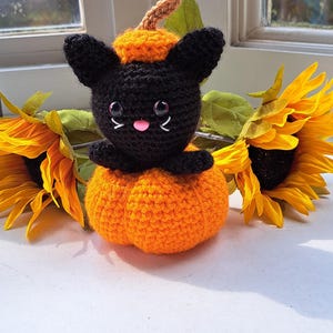 Cute Little Cat in Pumpkin