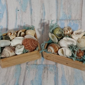 Dollhouse Miniature BOX OF SHELLS