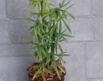 Dollhouse Miniature ARTIFICIAL BAMBOO PLANT