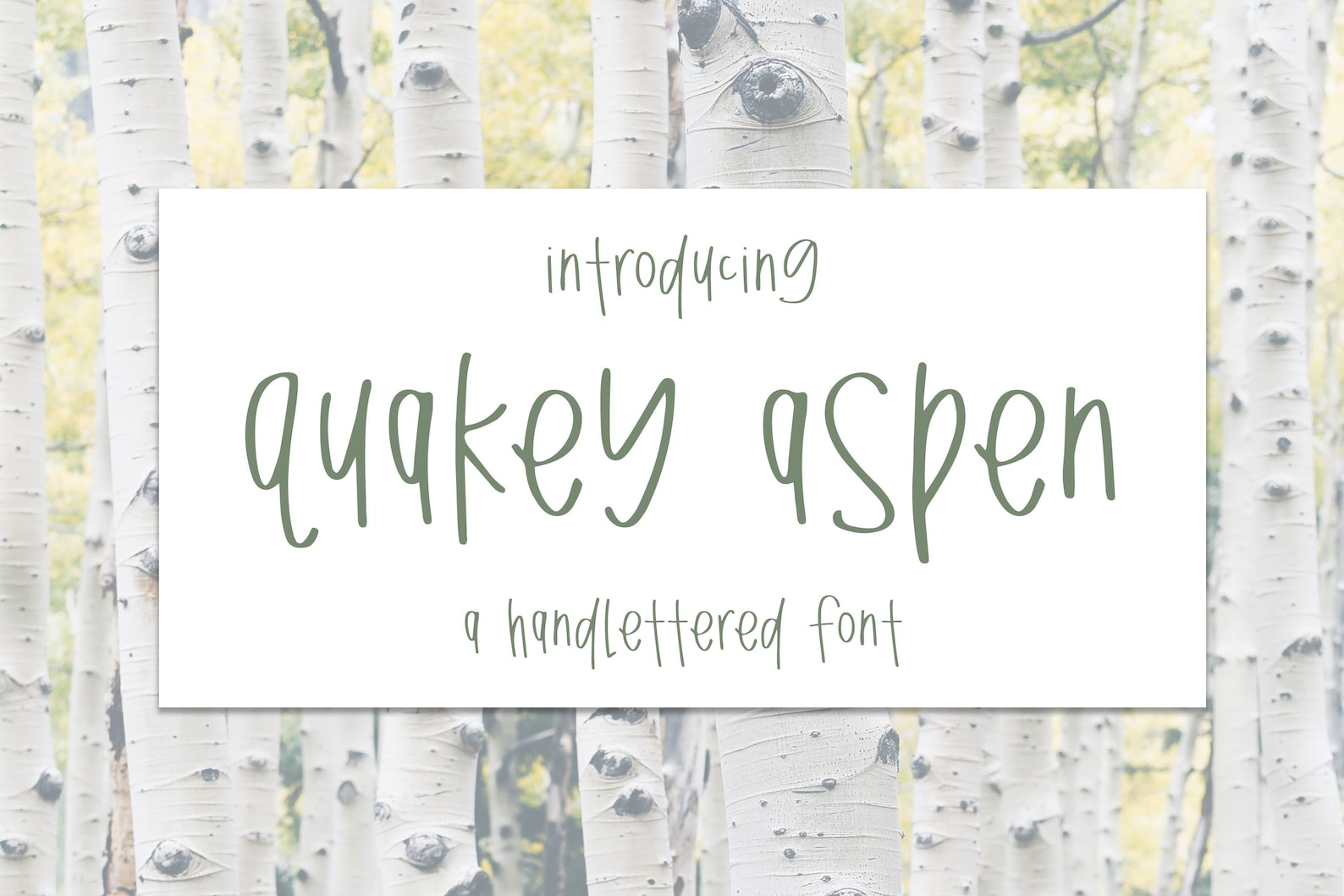 Girly Font Bundle | 12 Fonts Included | Craft Font Bundle | Calligraphy ...