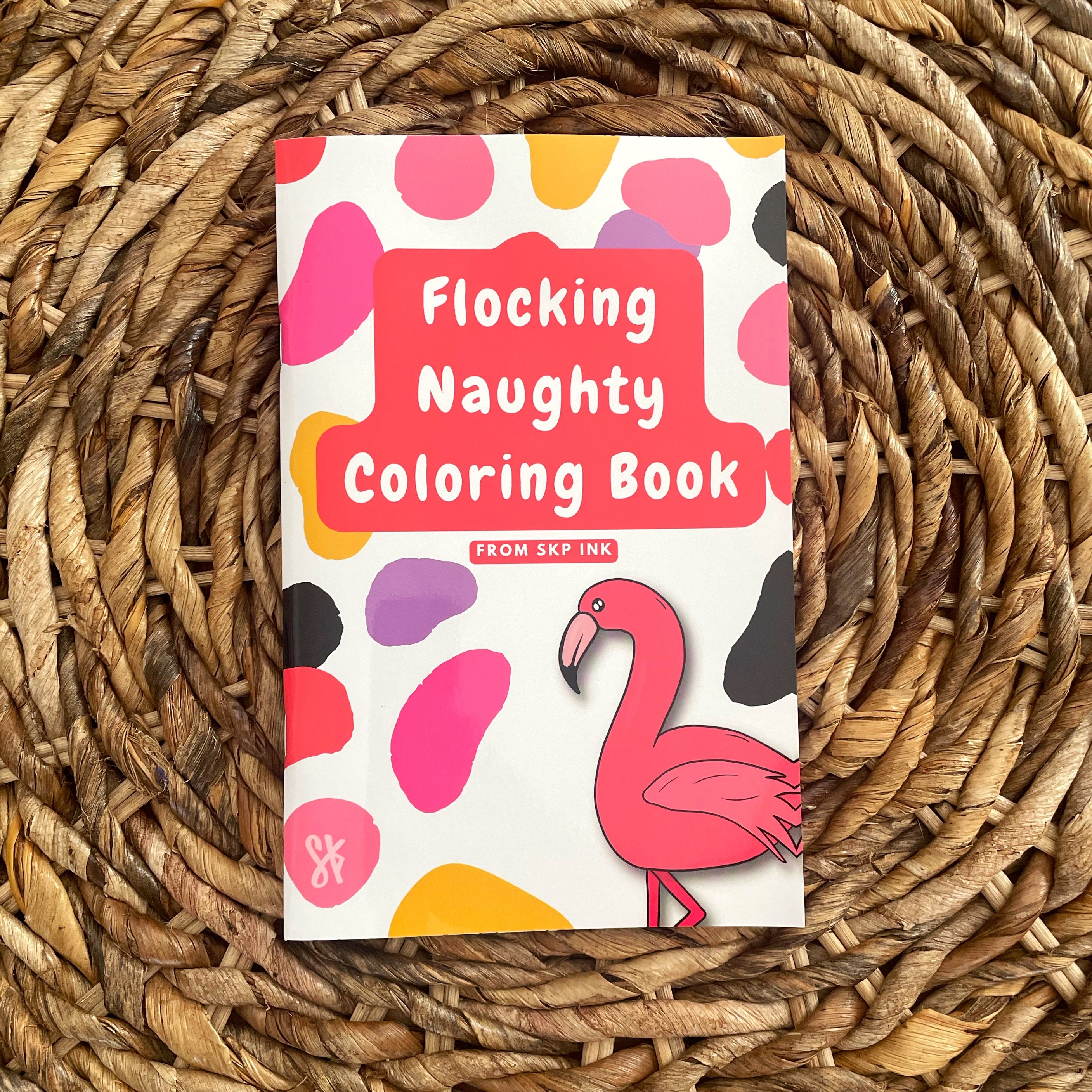 Naughty Puns Coloring Book / Innuendo Dirty Play on Words / Adult