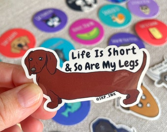 Life is Short So Are My Legs 2.8 inch Vinyl Sticker / Weiner Dog Funny Accessories / Laptop Accessory / Pet Animal / Waterbottle Sticker