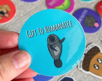 Gift to Humanatee Manatee Pun 2 inch Vinyl Sticker / Funny Accessories / Laptop Accessory / Cute Ocean Animal Punny / Waterbottle Sticker