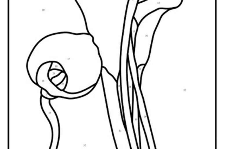 Calla Lilies Window Panel PDF Instant Download Hip Chick Glass Patterns /& Tutorials Stained Glass Pattern Craft Supplies