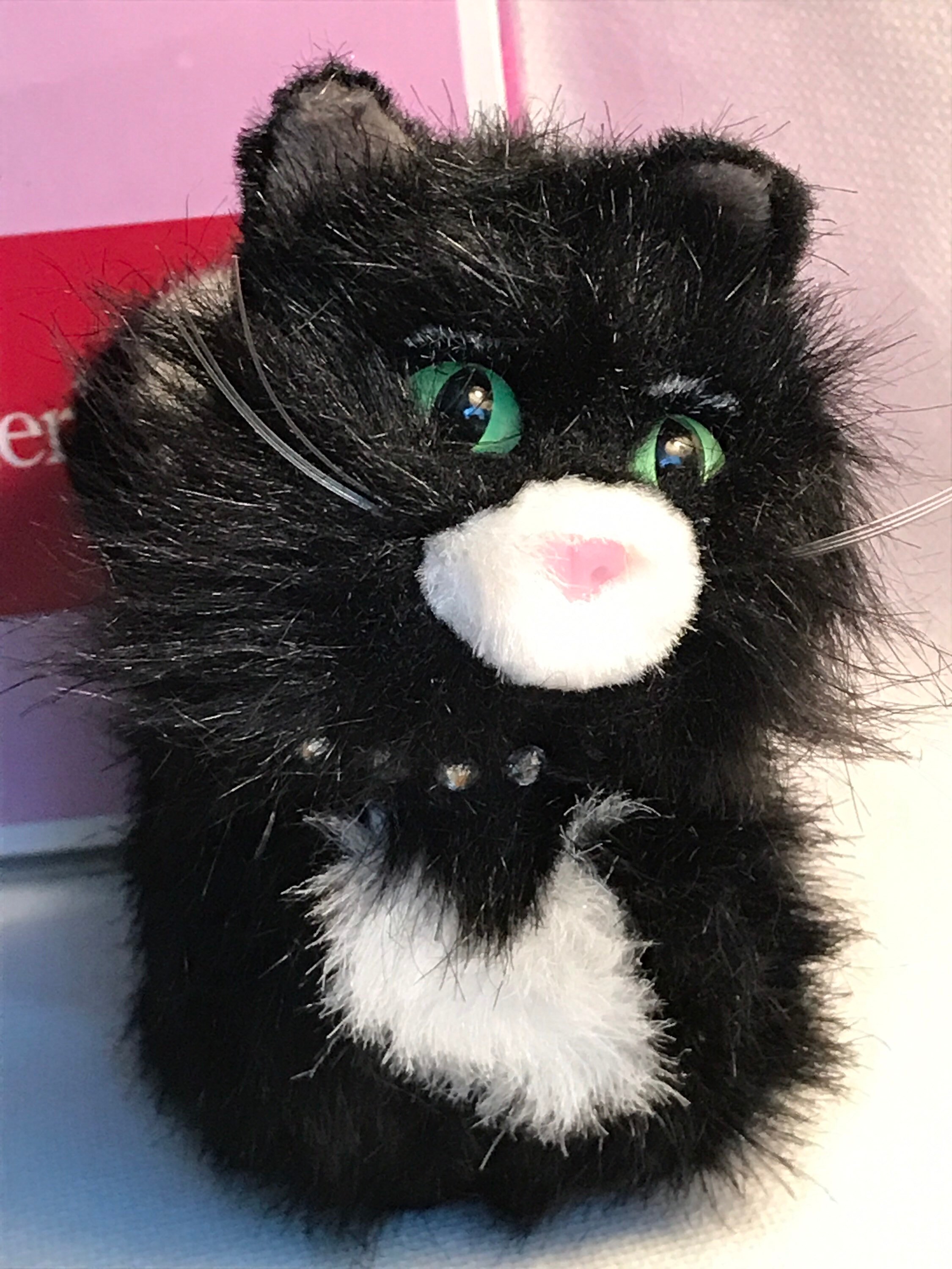 American Girl Licorice The Cat American Girl Today Mascot Etsy