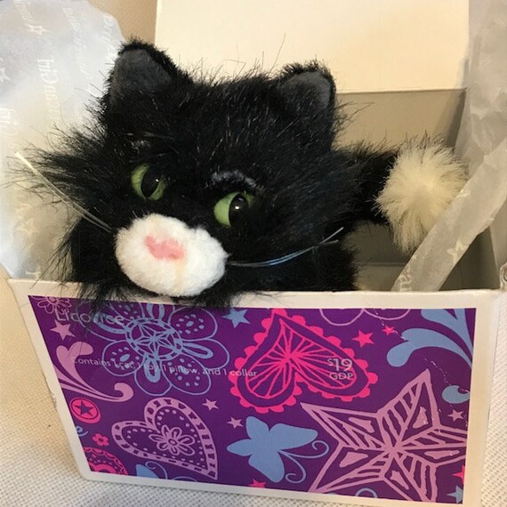 licorice american girl cat