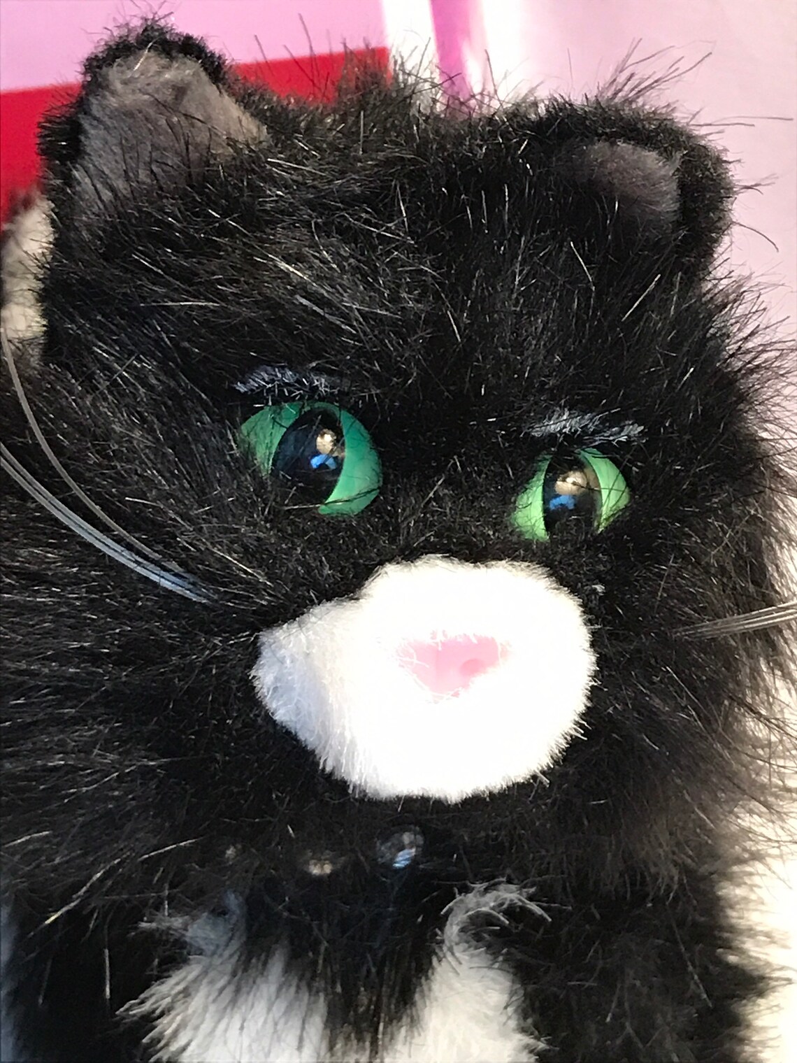 American Girl Licorice The Cat American Girl Today Mascot Etsy