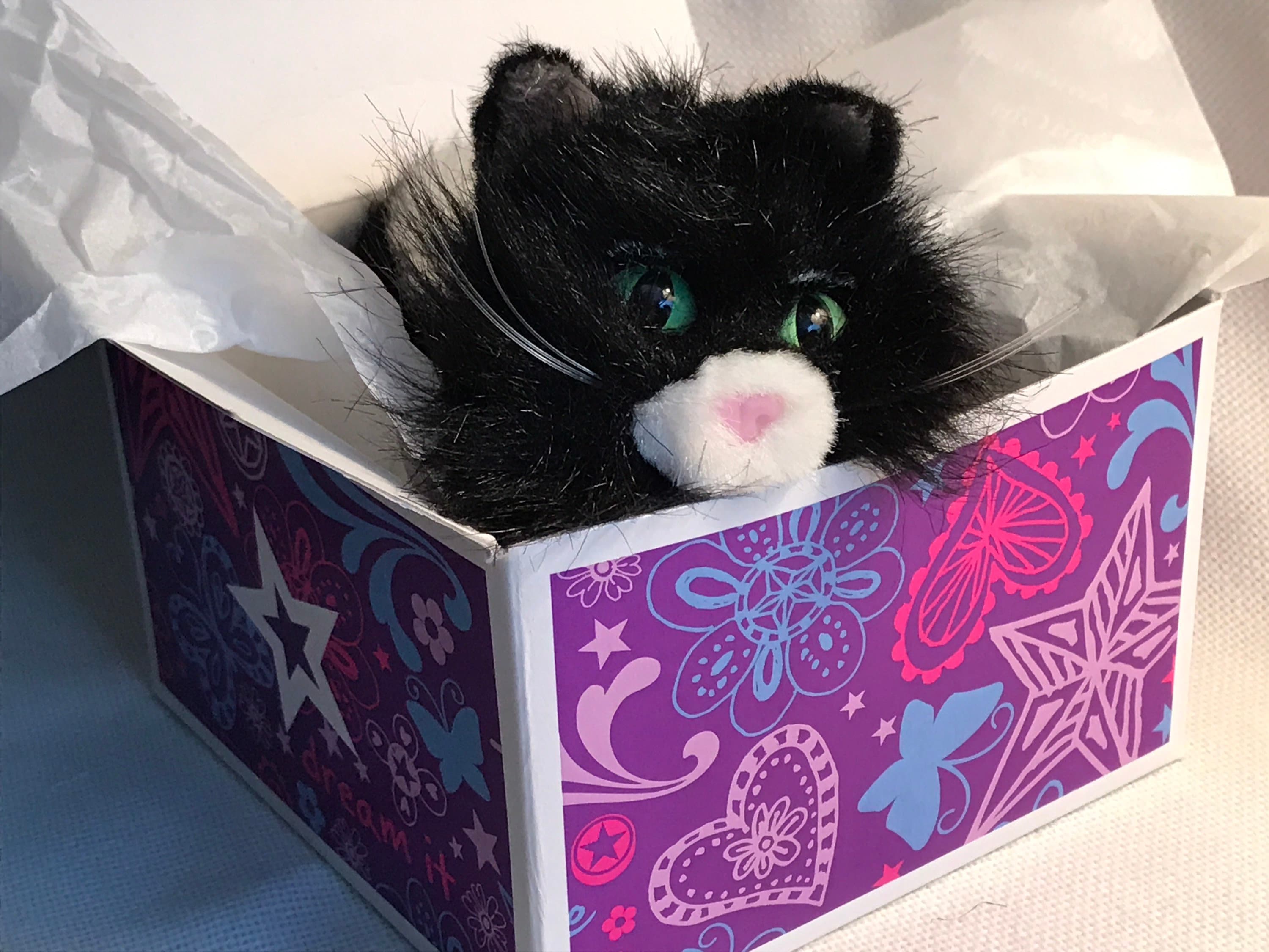 American Girl Licorice The Cat American Girl Today Mascot Etsy
