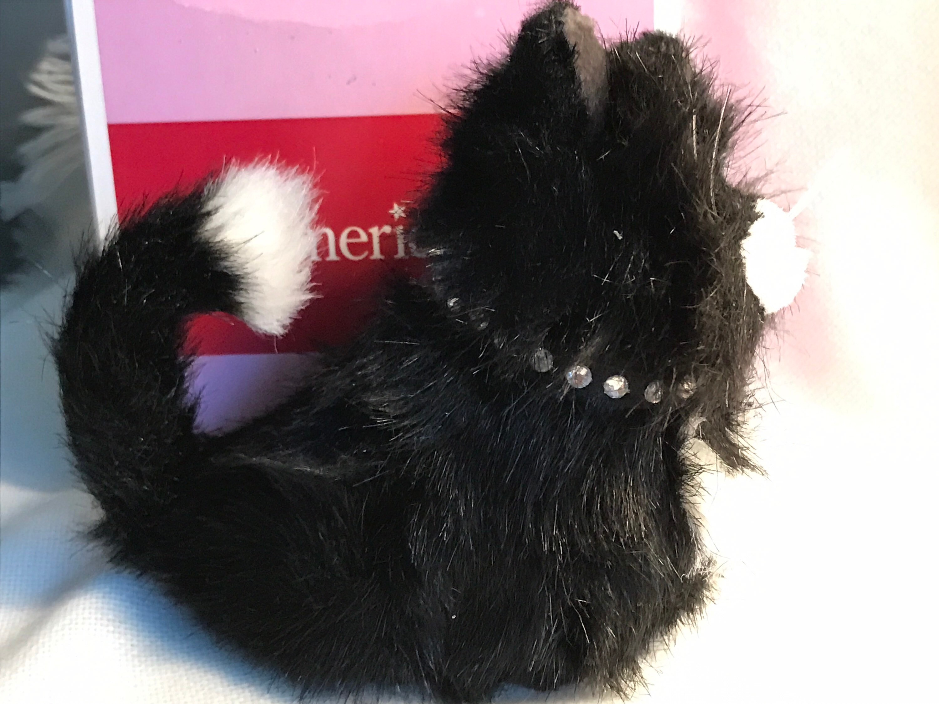 American Girl Licorice The Cat American Girl Today Mascot Etsy