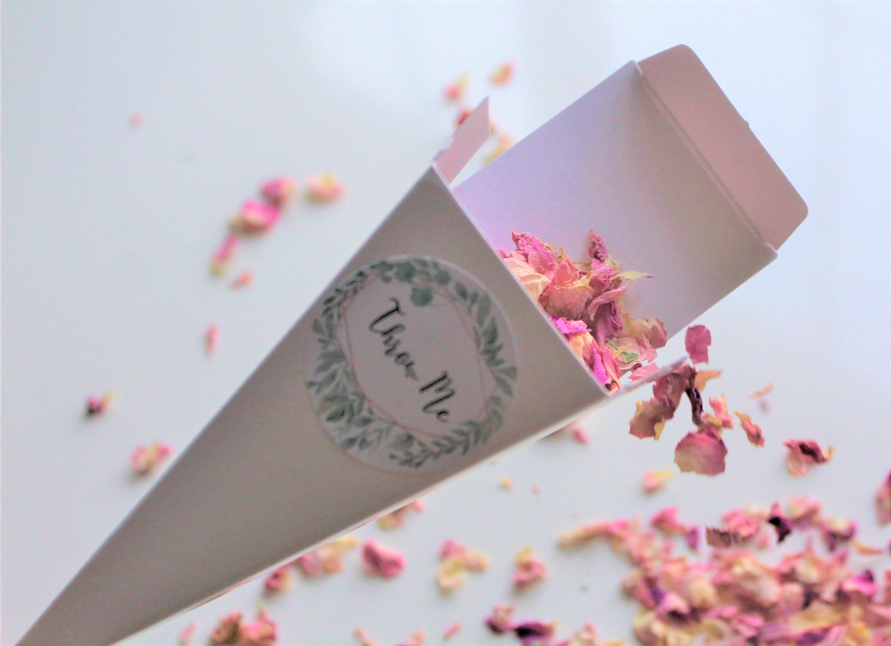 Confetti Cone Boxes With Lids Including Biodegradable Pink Etsy UK