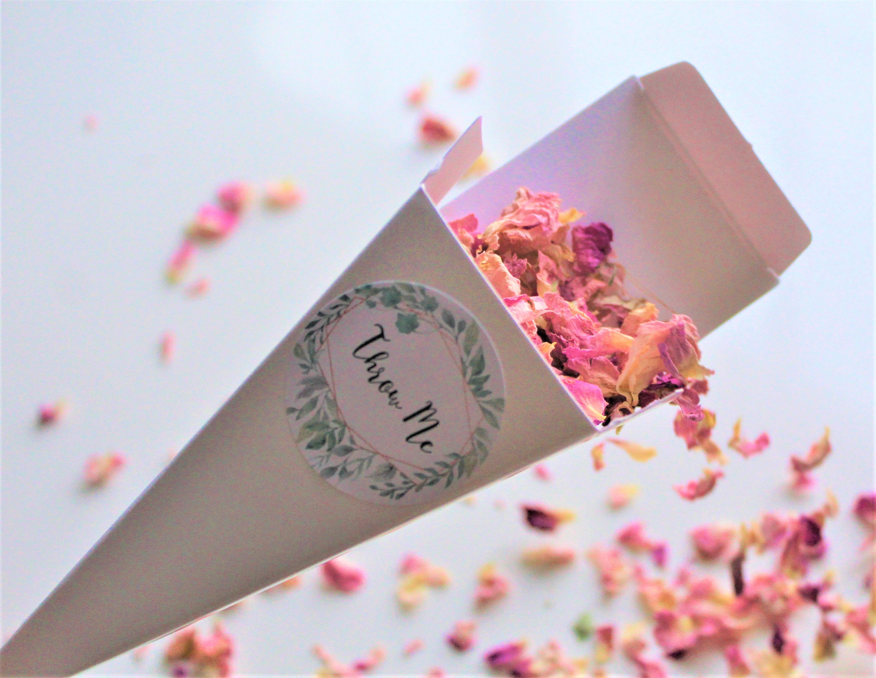 Confetti Cone Boxes with Lids including Biodegradable Pink Etsy