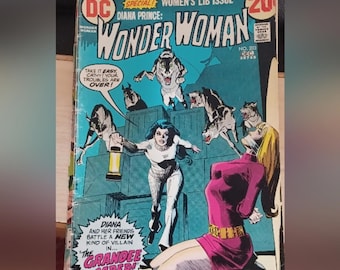 Collection Of 14 Vintage DC Comic Books