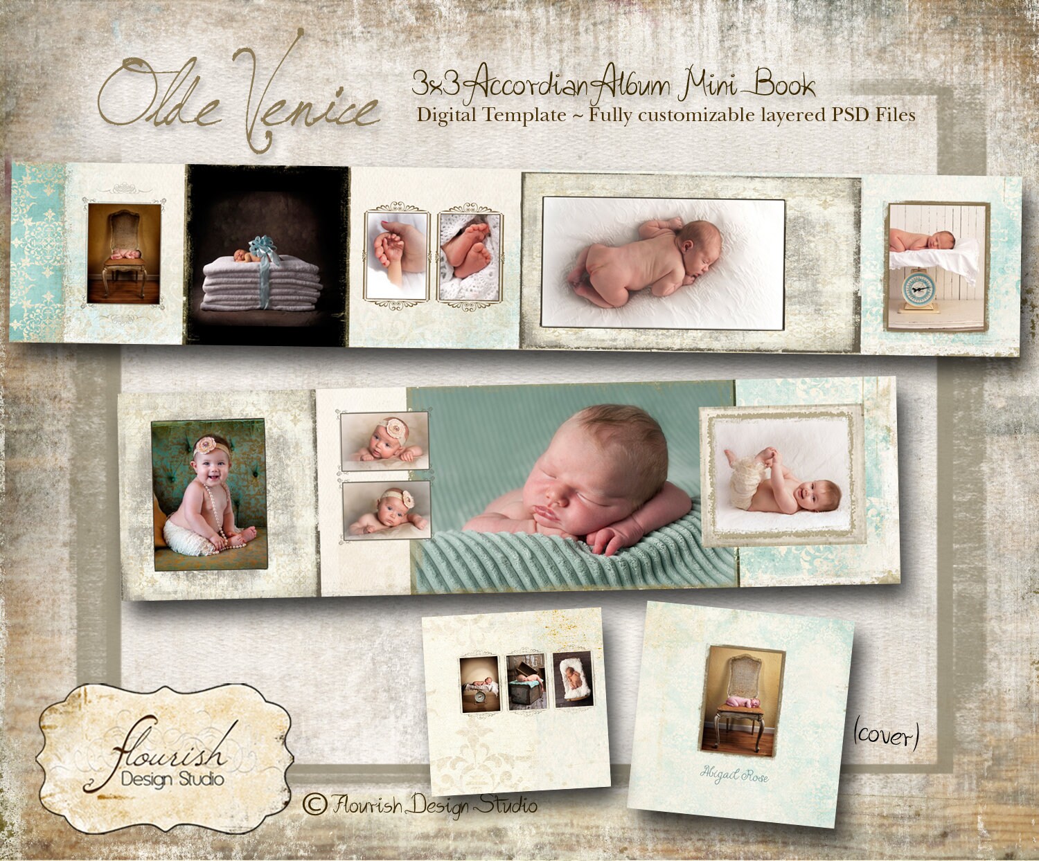 3x3 Accordion Album Template for Photographers Olde Venice - Etsy