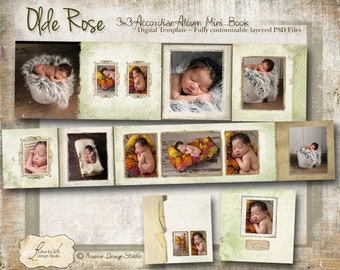 3x3 Mini Accordion Album template - Olde Rose Baby Album