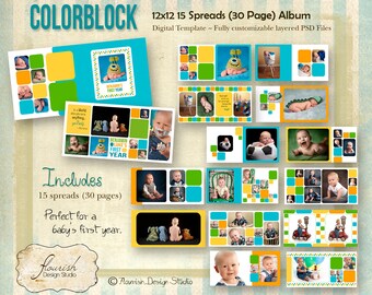 INSTANT DOWNLOAD 12x12 Baby Boy First Year Album template - Color Block Birthday Album