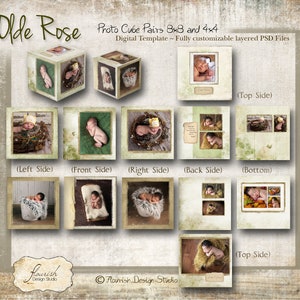 Photo Cube templates for photographers - Olde Rose (8x8 & 4x4 inch cubes)