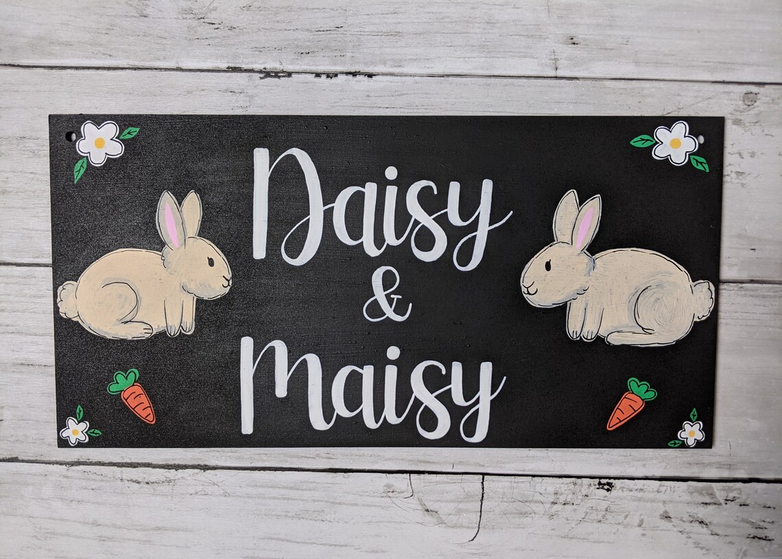 Personalised Rabbit Hutch Sign Bunny Portrait Enclosure Etsy