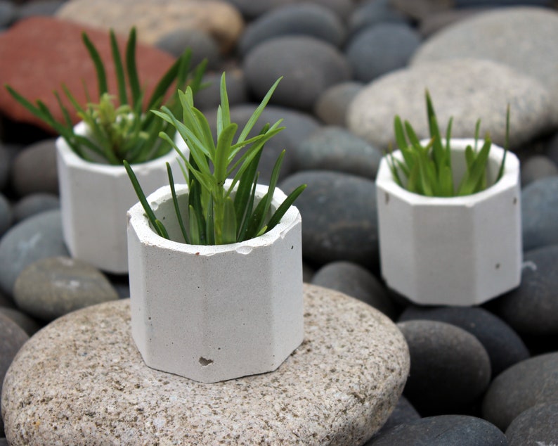Mini Concrete Planter Set of 3 Little Concrete Planter for Etsy