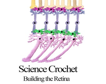 E-Book Science Crochet: Building the Retina, science books, crochet books, crochet pattern, neuroscience, vision, science crochet