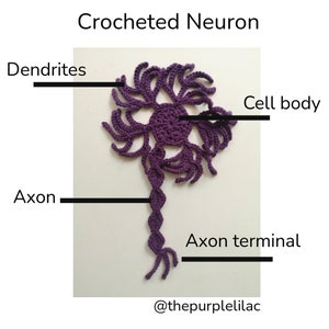 Neuron Crochet Pattern
