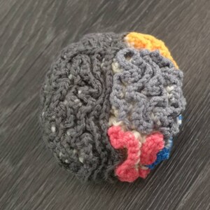 Anatomical Crocheted Brain, crocheted brain, brain pattern, crocheted science models, science crochet image 5