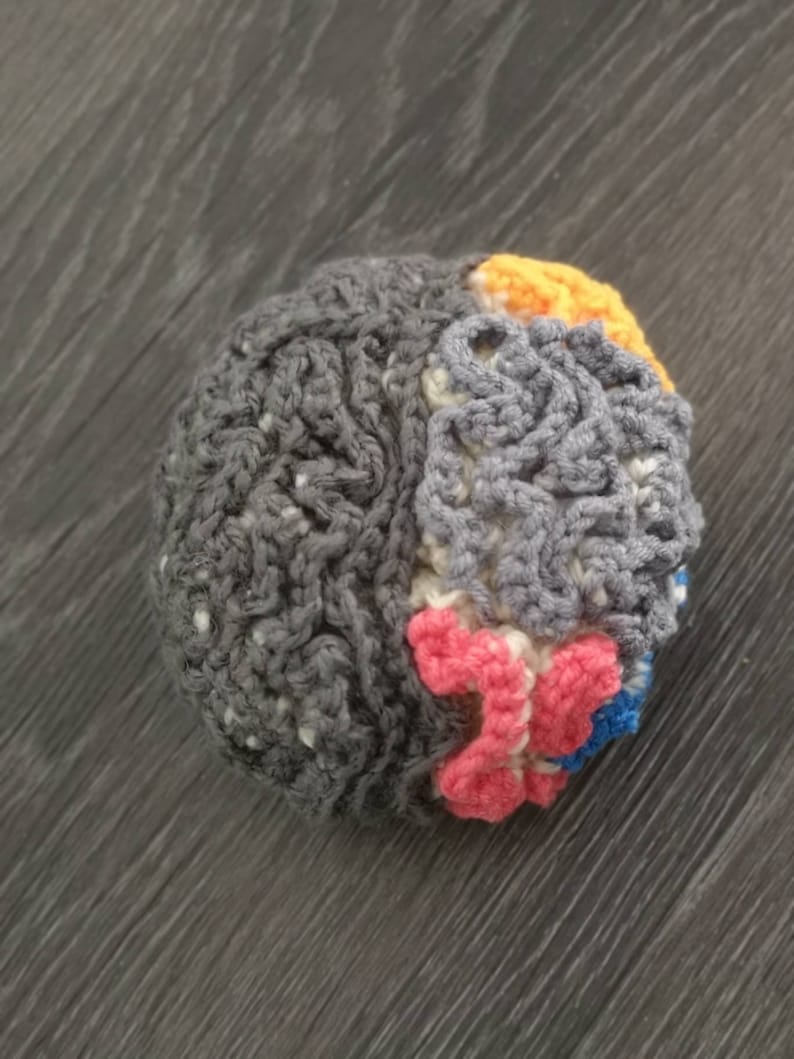 Anatomical Crocheted Brain, crocheted brain, brain pattern, crocheted science models, science crochet image 5