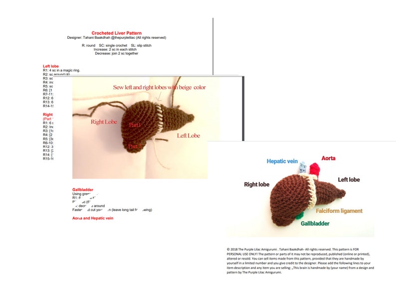 Crocheted Liver Pattern, crochet pattern, liver, pdf pattern, crocheted liver, liver pattern, crocheted science models, science crochet image 2