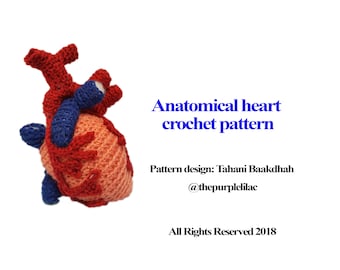 Anatomical Heart Crochet Pattern