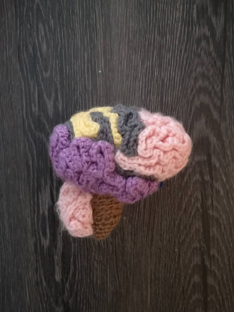 Anatomical Crocheted Brain, crocheted brain, brain pattern, crocheted science models, science crochet image 3