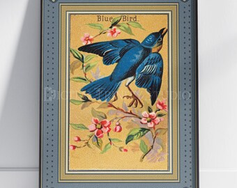 Floral Blue Bird Print | Antique Allen Ginter Bird Art | 1880s Vintage Tobacco Card Illustration | Yellow Botanical Wall Decor | Bluebird