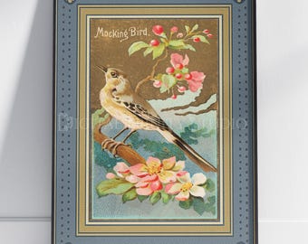Vintage Mockingbird Print | 1888 Allen Ginter N4 Bird Card Reimagined | Antique Tobacco Card Wall Art | Restored Bird Illustration