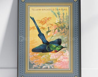 Floral Sun Bird Print | Antique Allen Ginter Bird Art | 1880s Vintage Tobacco Card Illustration | Yellow Botanical Wall Decor | Sunbird Art