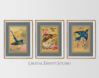 Set of 3 Vintage Bird Prints | Allen Ginter Triptych | Sunbird, Cuckoo bird & Blue Bird | Antique Floral Wall Art for Home Décor | Bundle 2