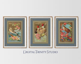 Set of 3 Vintage Bird Prints | Allen Ginter Triptych | Hummingbird, Mockingbird & Wren | Antique Floral Wall Art for Home Décor | 1800s Art