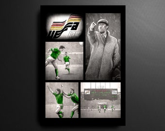 Republic of Ireland Euro 1988 Football Print