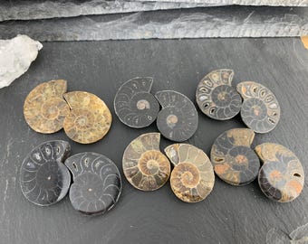 Polished Ammonite Pair - Natural Spiral Fossils from Madagascar