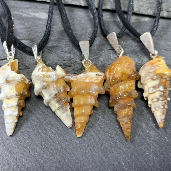 Fossil Seashell  pendant