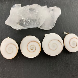 Shiva Shell pendant- Shiva’s Eye pendant