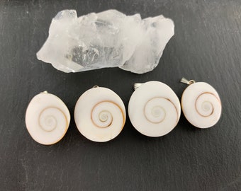 Shiva Eye Pendant: Natural Shell with Red Cat Eye - Unique Round Design
