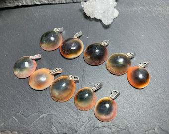 Shiva Shell Pendant, Colorful Eye Design (Sterling Silver Bail)