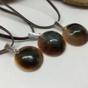 Shiva Shell pendant/ Shiva’s Eye pendant
