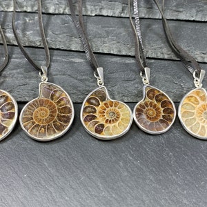 Ammonite necklace/ Ammonite half pendant