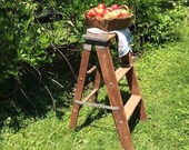 Vintage Step Ladder