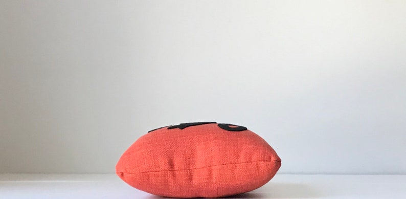 May include: A coral-colored pillow with black felt lettering that reads "Hello".