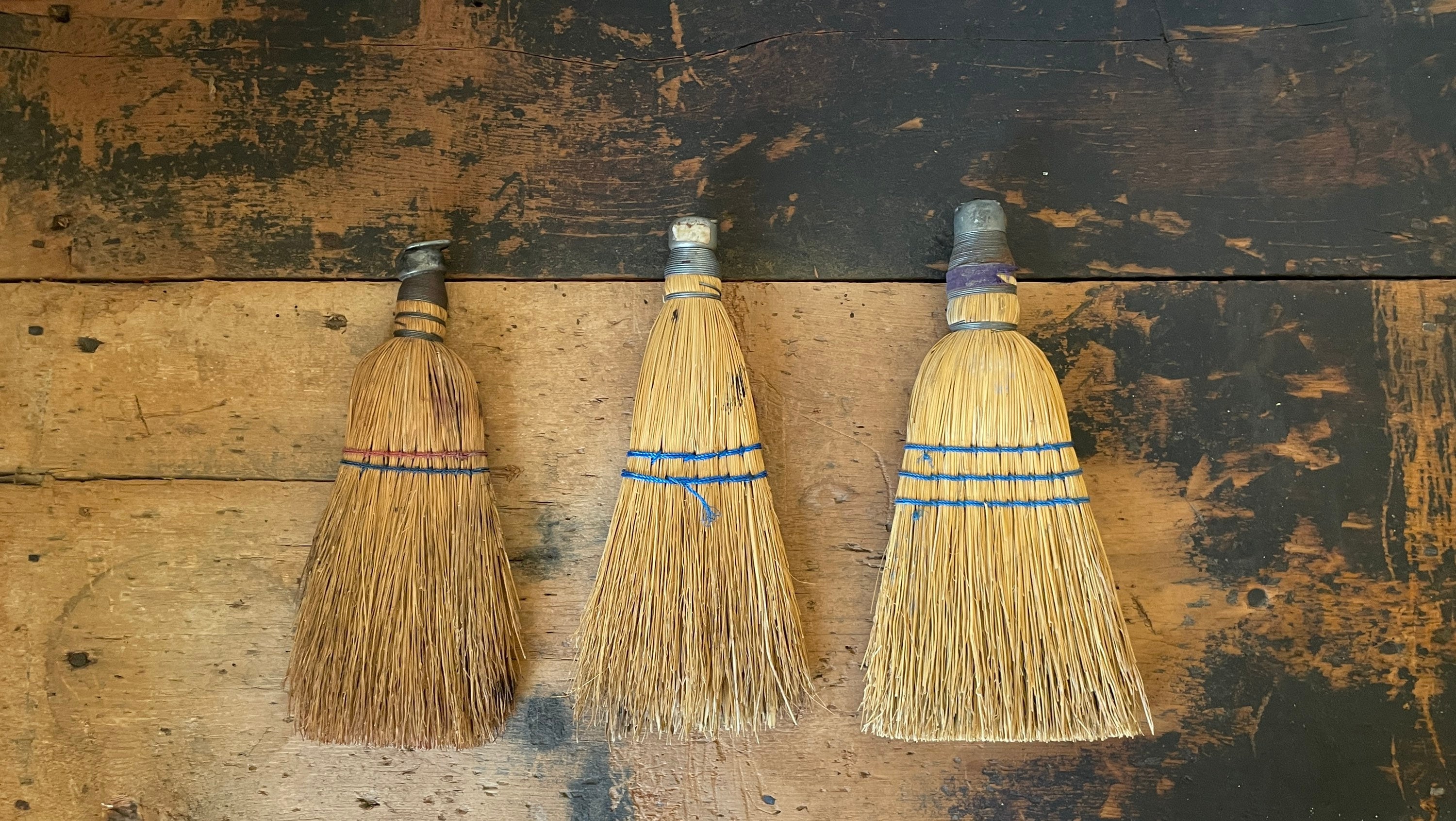 Are Cinnamon Brooms Safe For Dogs