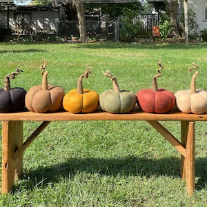 Op de afbeelding: Zes vilten pompoenen in verschillende kleuren, waaronder zwart, bruin, geel, groen, rood en beige, zijn gerangschikt op een houten bank. De pompoenen zijn allemaal ongeveer even groot en hebben een rustieke, handgemaakte uitstraling.