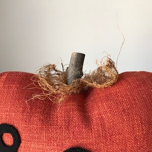 Halloween Pillow Boo Black Crow / Decorative Fall Accent Pillow image 3