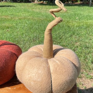 Op de afbeelding: Een beige wollen pompoen met een gedraaide touwsteel. De pompoen ligt op een houten oppervlak.