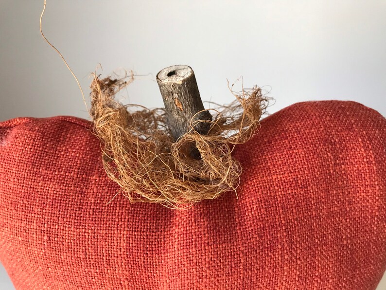 May include: A red fabric pumpkin with a twig stem and brown twine wrapped around the stem.