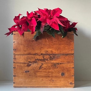 Antique Box Crate Vintage Wood Bin